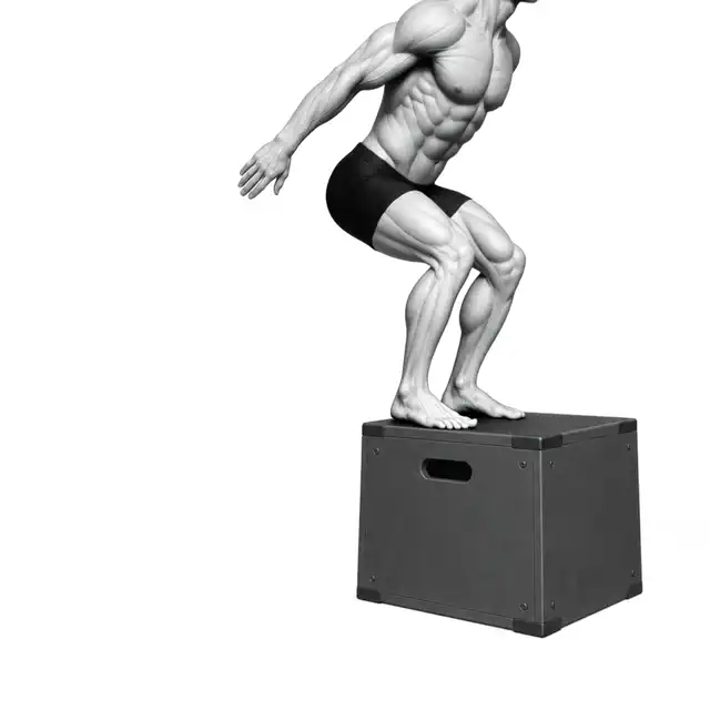 نمایش حرکت پرش جعبه