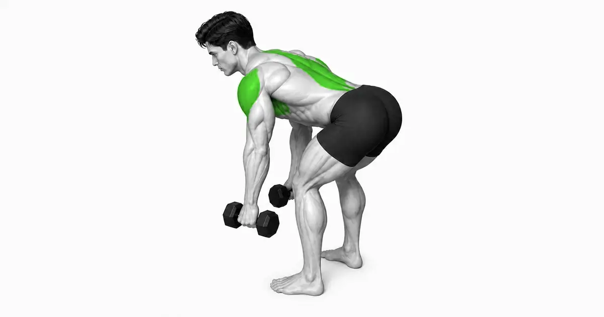 Dumbbell Y မြှင့် — အဆင်သင့်အနေအထား