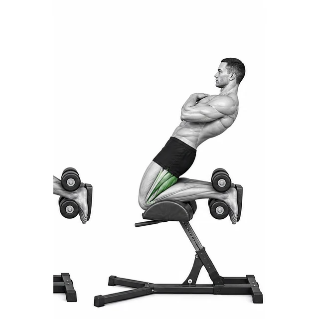Dráhy klíčových kloubů během zvednutí glute ham (GHR)
