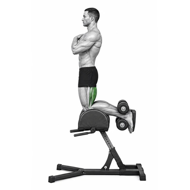 Glute Ham Raise (GHR) — Ovladatelný rozsah je správný rozsah pohybu