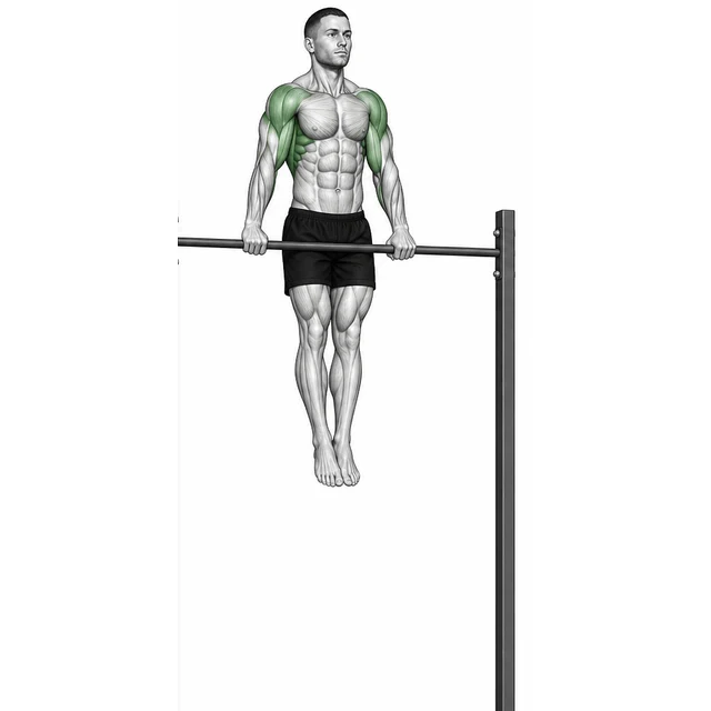 Muscle-Up — ຊ່ວງທີ່ສາມາດຄວບຄຸມໄດ້ແມ່ນຊ່ວງທີ່ຖືກຕ້ອງຂອງການເຄື່ອນໄຫວ