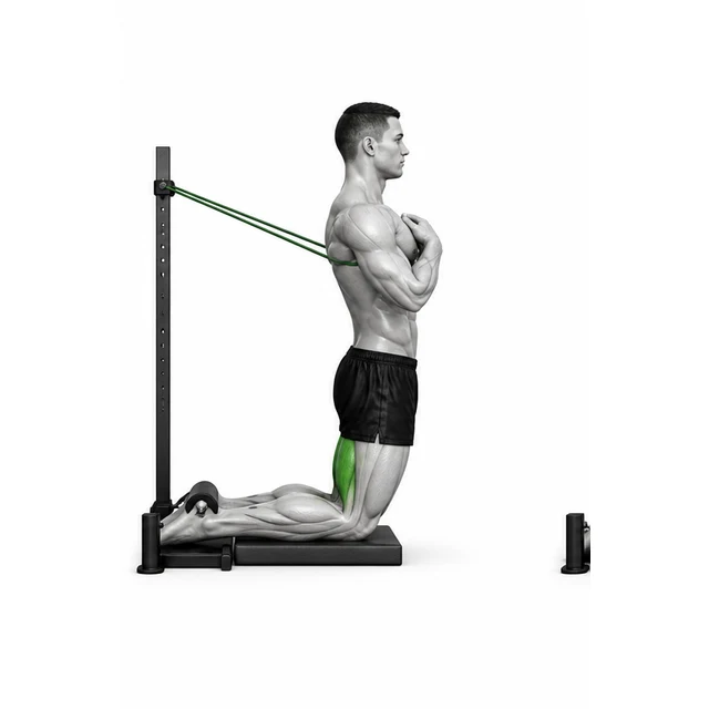 Nordic Curl (Assisted) စတင်သည့် အနေအထား နှင့် Joint Alignment